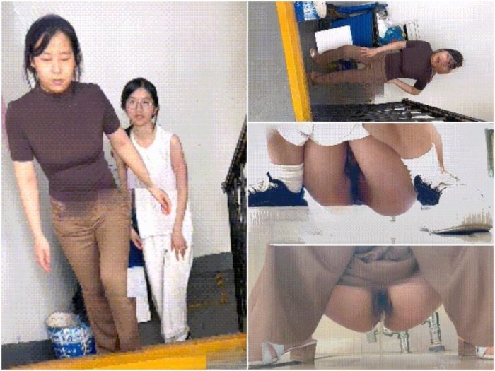 Public Restroom オフィスビルで一石二鳥：女性同僚二人の肉感的なマンコを写真に収める