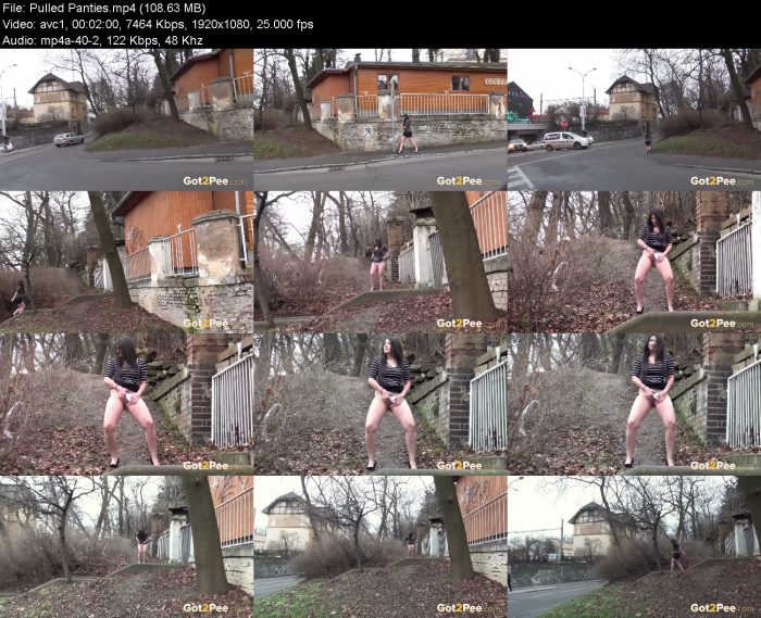 Pulled Panties | Pee | Kinkmixer
