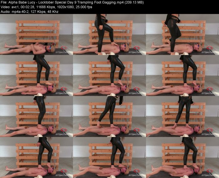 Alpha Babe Lucy - Locktober Special Day 9 Trampling Foot Gagging – KinkMixer - Violent Crazy Desires Alpha Babe Lucy - Locktober Special Day 9 Trampling Foot Gagging | FemDom | Kinkmixer