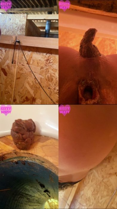 Kitty Skatt – POV hookup in festival toilet