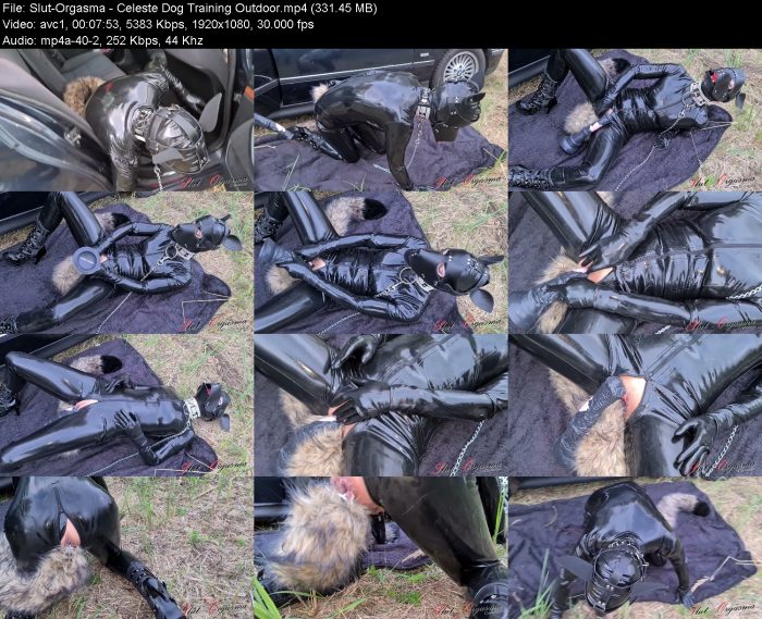 Slut-Orgasma - Celeste Dog Training Outdoor | Pee | Kinkmixer