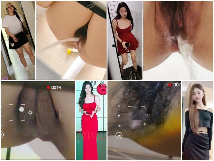 Public Restroom China Toilet Voyeur sifangktv 2947-2949 | Toilet Voyeurism | Kinkmixer