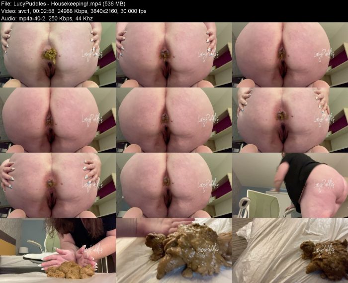 LucyPuddles - Housekeeping! | Poop Girls | Kinkmixer